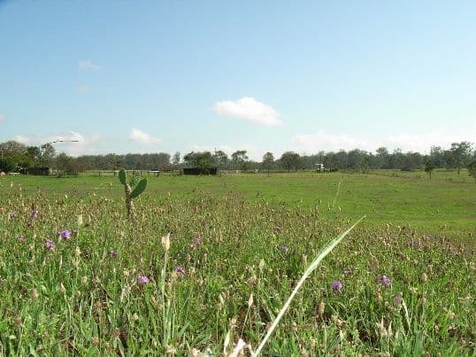 Lot 40, 220 Meringandan Road, HIGHFIELDS QLD 4352, Highfields - Thumbnail 2