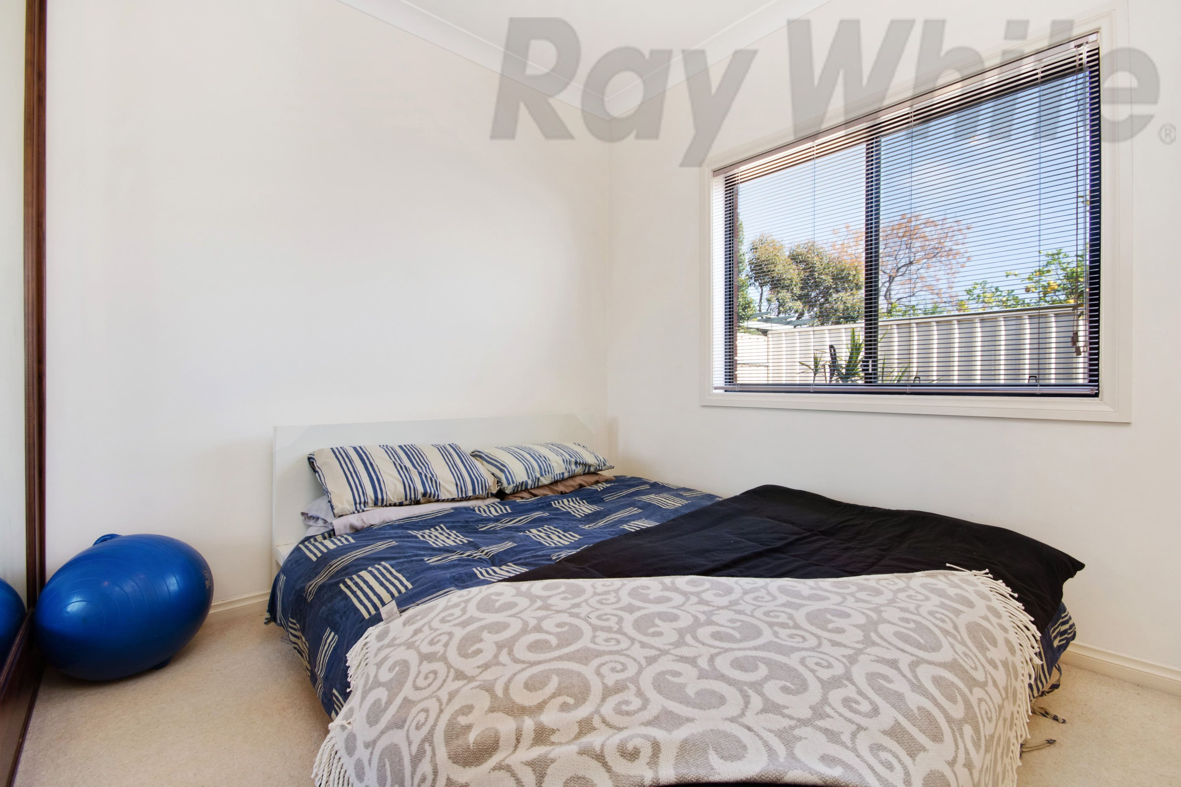 20 Croydon Avenue, West Croydon SA 5008, West Croydon - Thumbnail 5