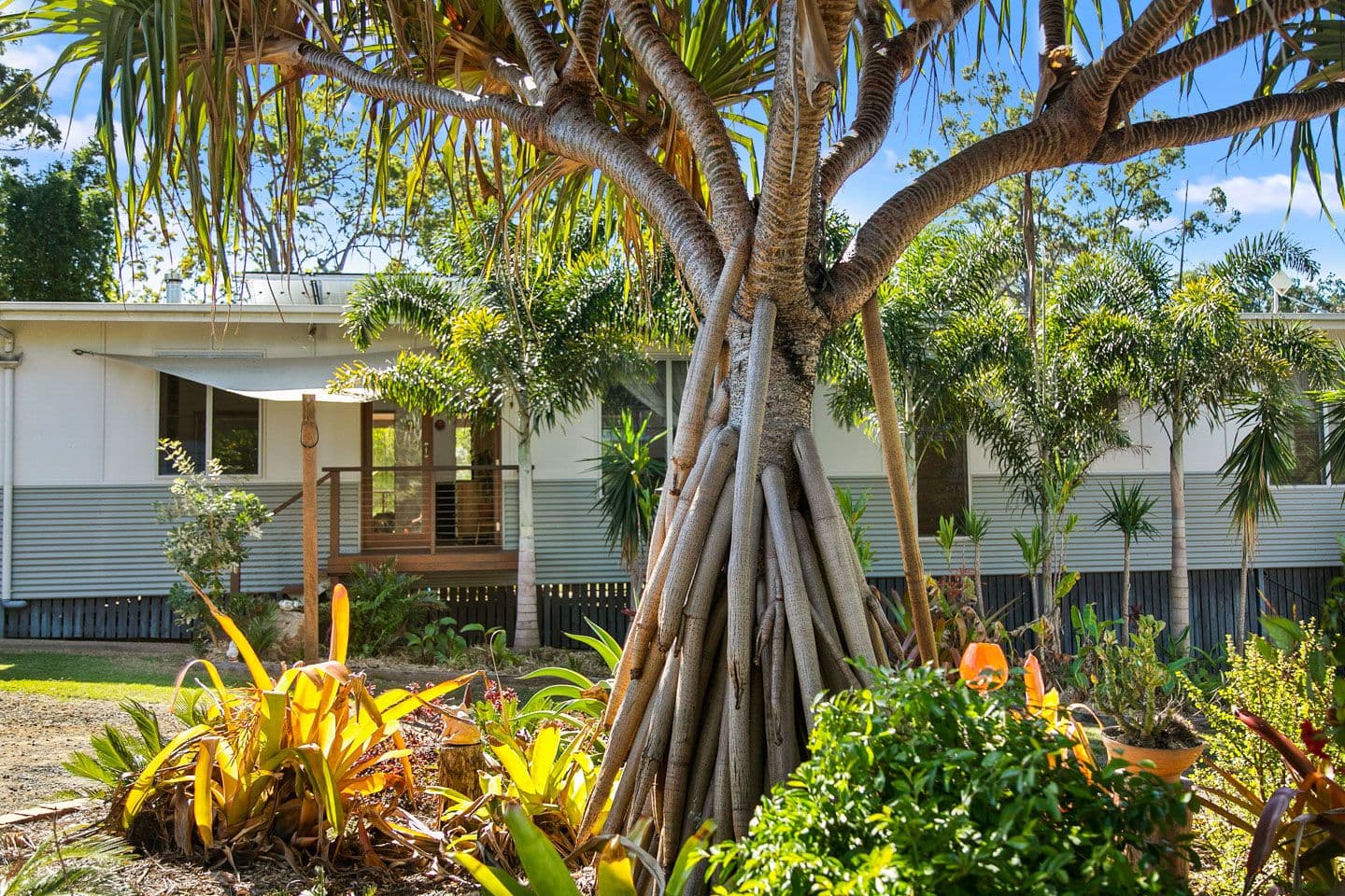 40 Dreamtime Avenue, Burrum Heads QLD 4659, Burrum Heads - Thumbnail 4