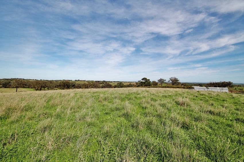 1 Golden Grove Road, YOUNG NSW 2594, Young - Thumbnail 3