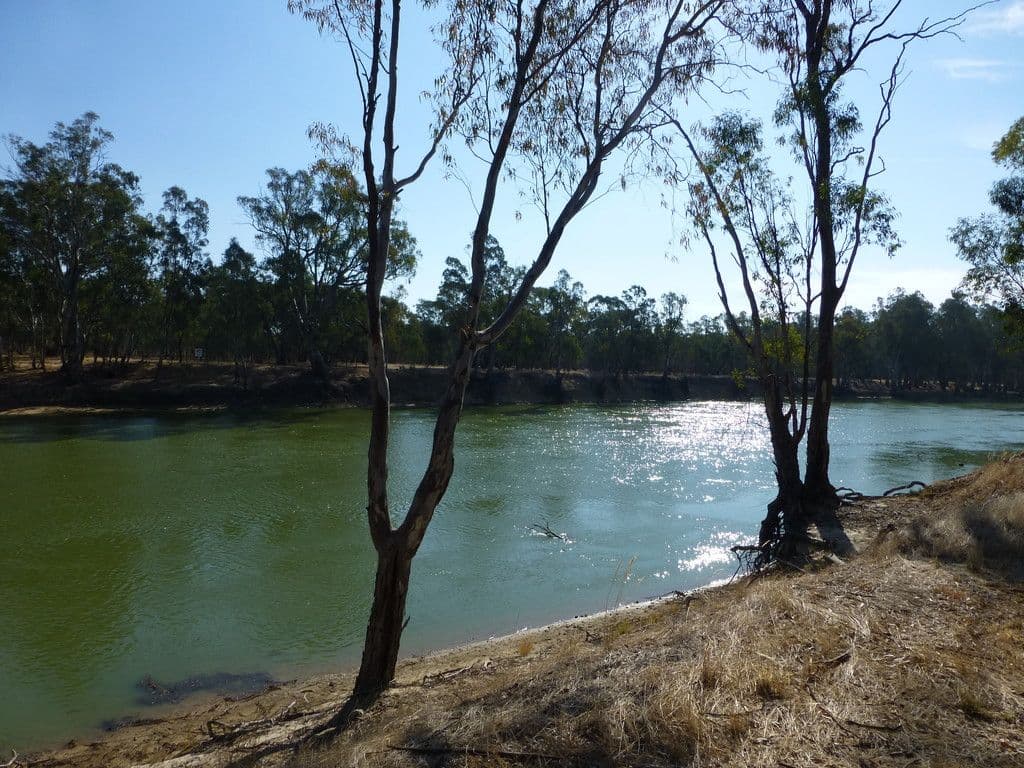 6 Swan Court, Barmah VIC 3639, Barmah - Thumbnail 3