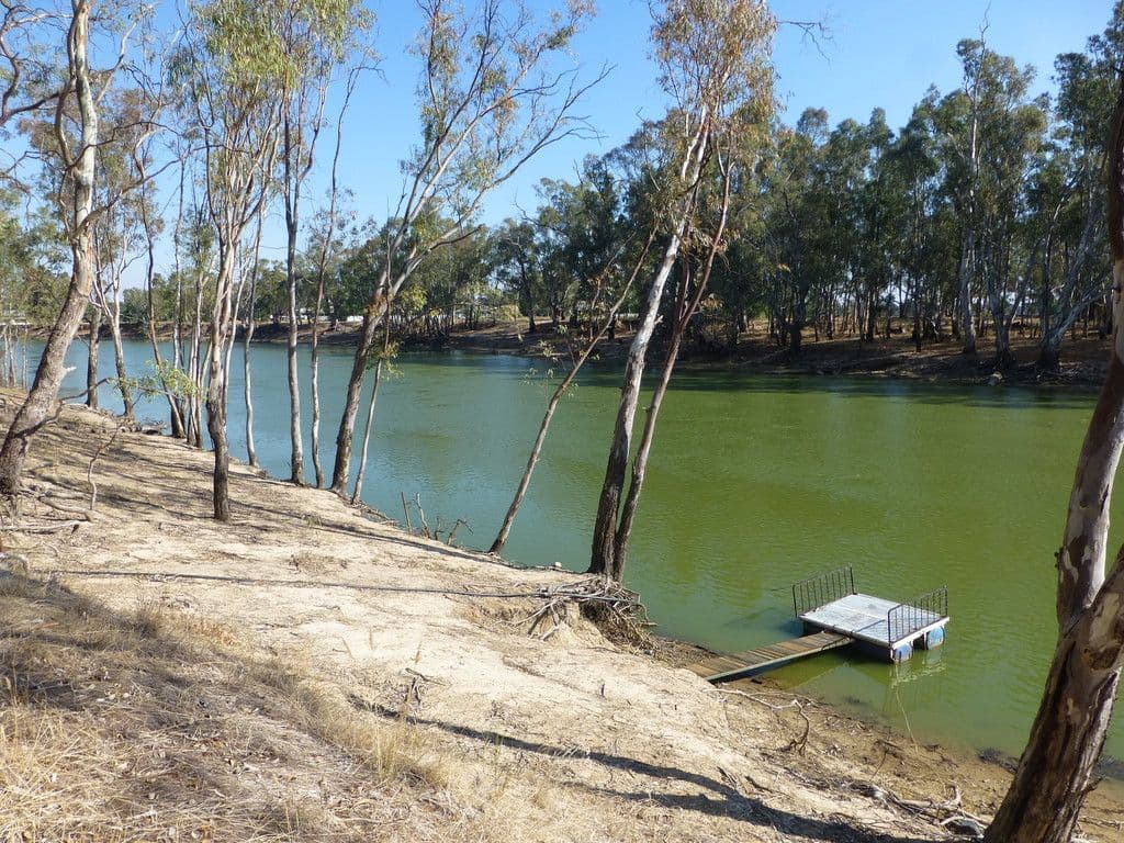 6 Swan Court, Barmah VIC 3639, Barmah - Thumbnail 4