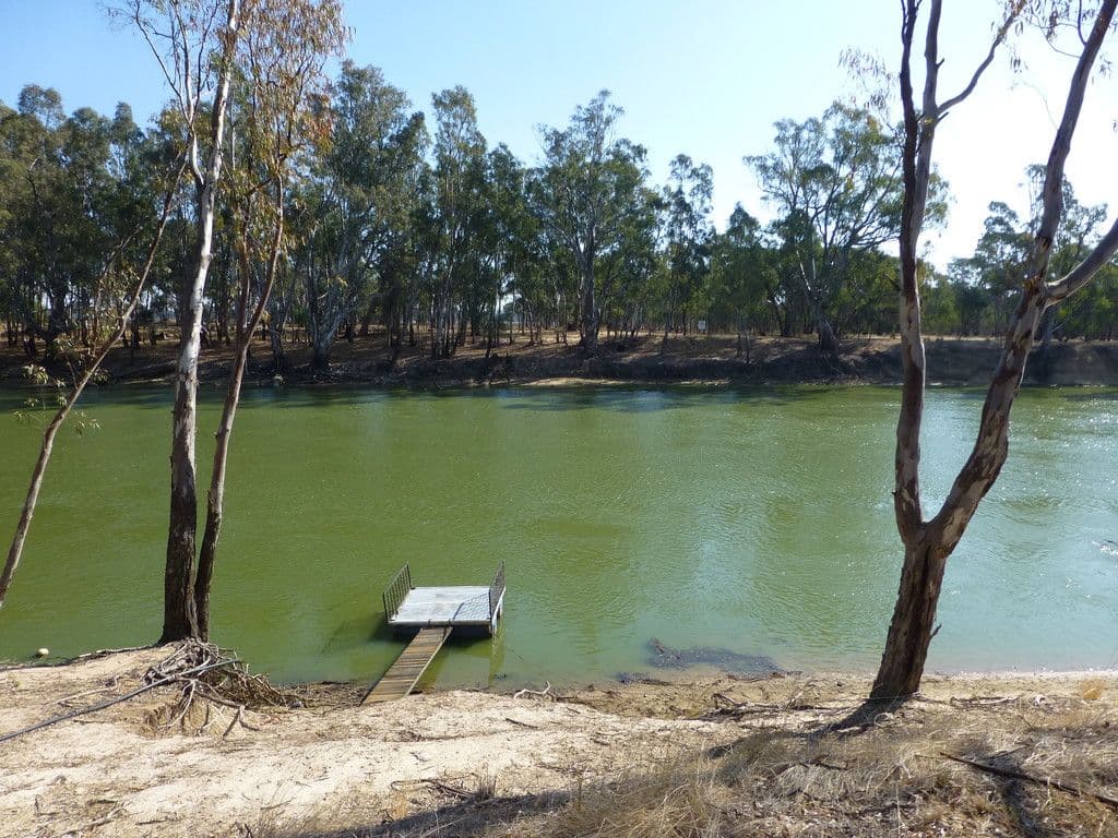6 Swan Court, Barmah VIC 3639, Barmah - Thumbnail 5