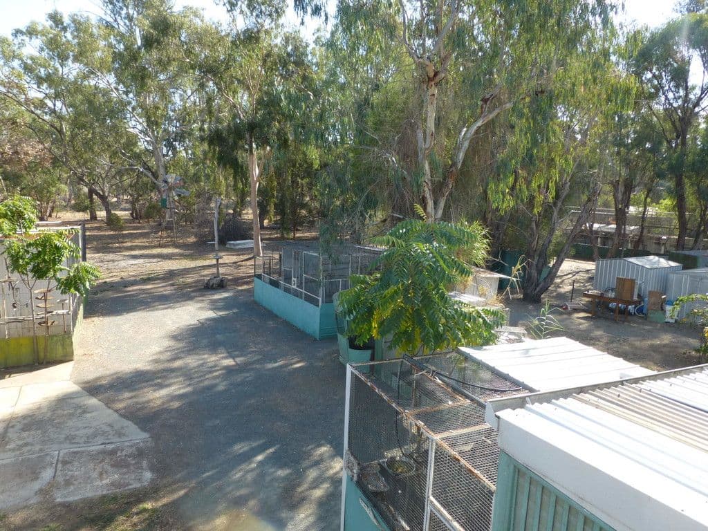 6 Swan Court, Barmah VIC 3639, Barmah - Thumbnail 6