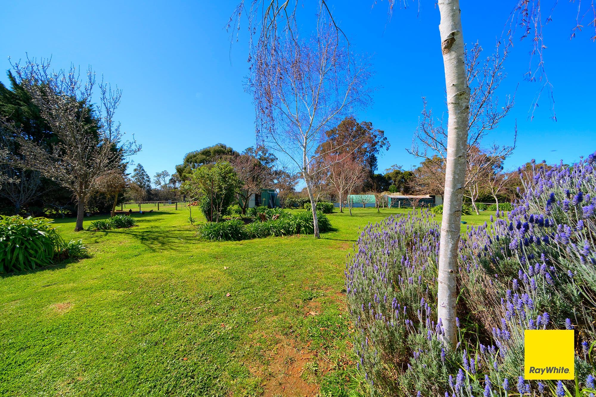 168 Sturdee Road, Mount Barker WA 6324, Mount Barker - Thumbnail 4