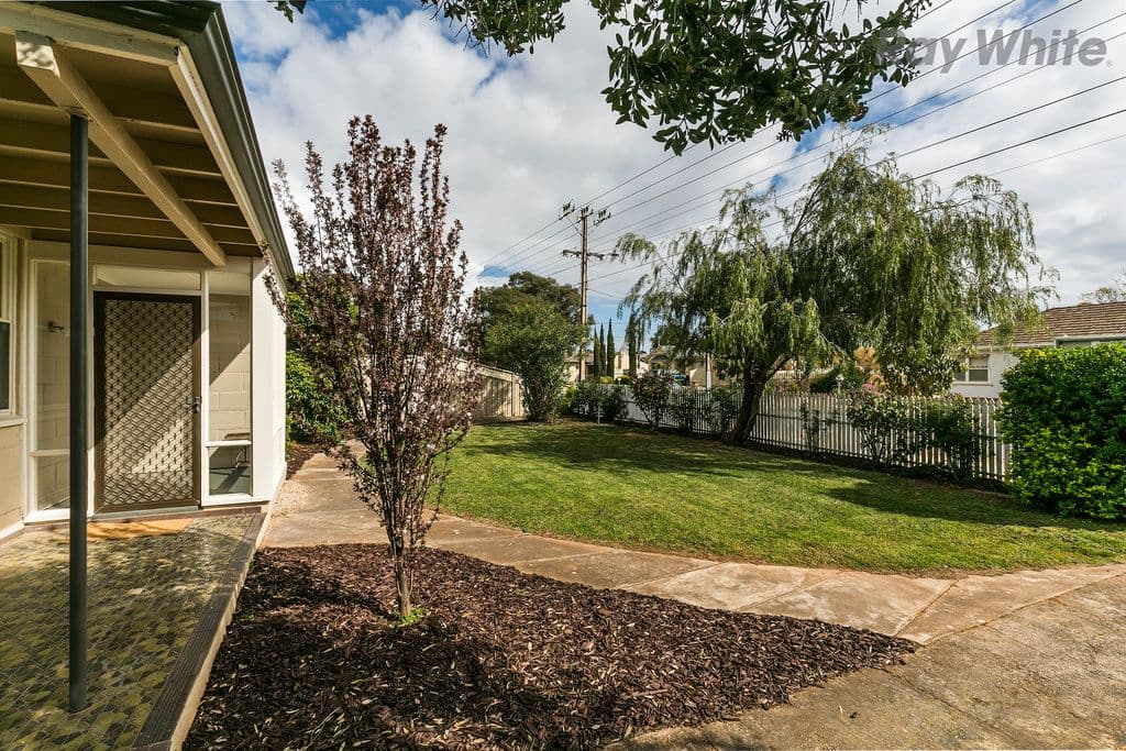 43 Johnstone Road, Oaklands Park SA 5046, Oaklands Park - Thumbnail 2