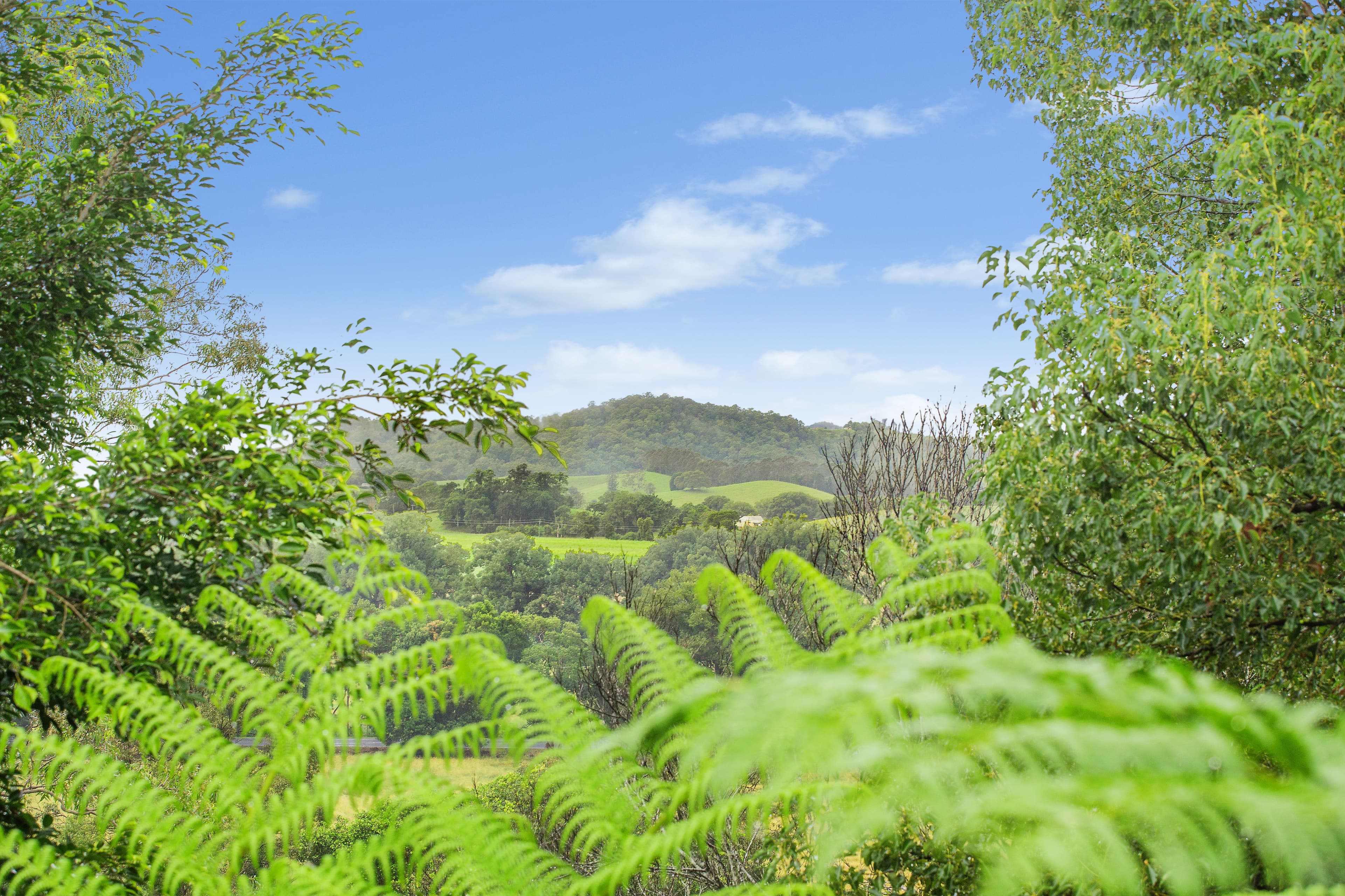 100 Byangum Road, Murwillumbah NSW 2484, Murwillumbah - Thumbnail 7