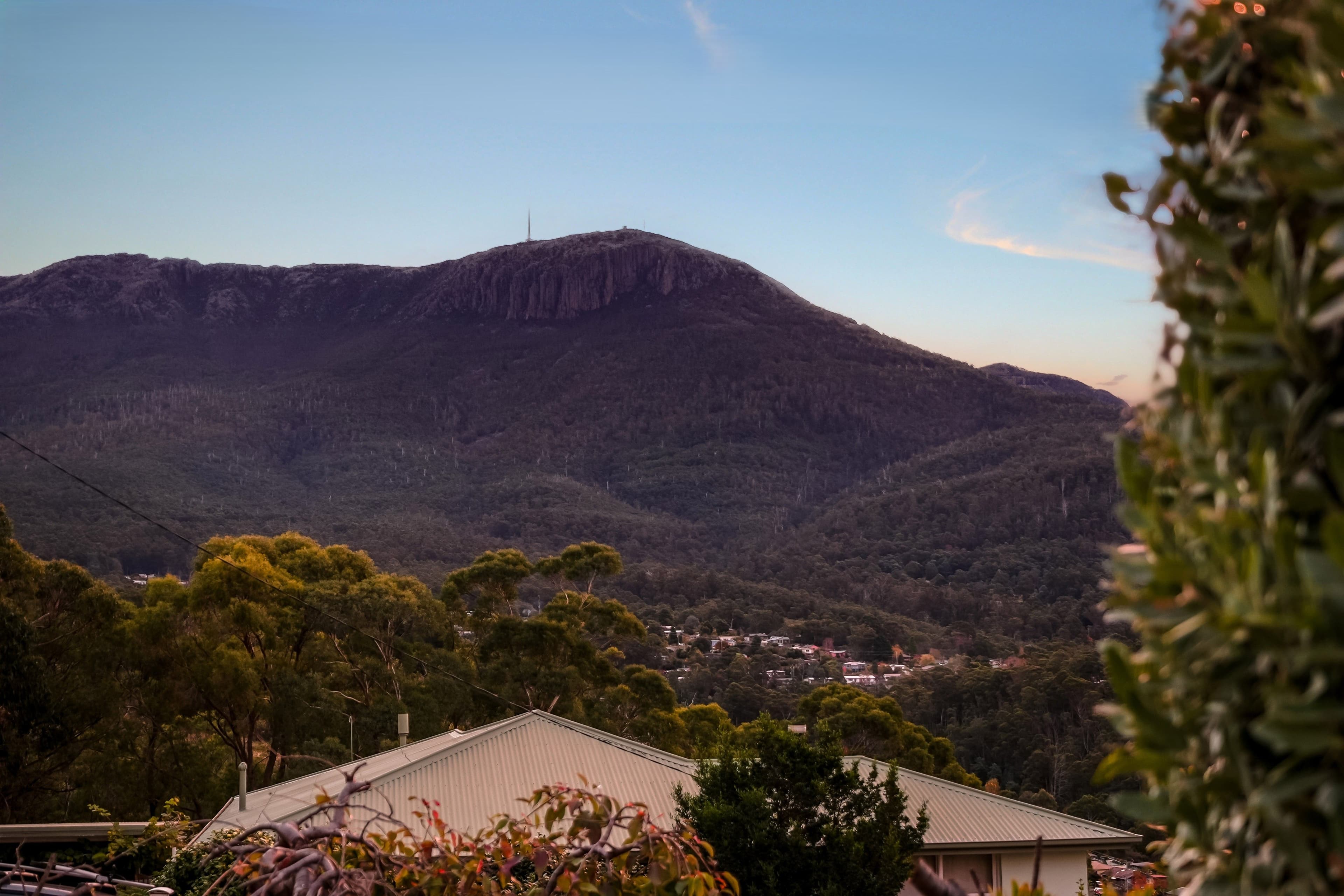 64 Hillborough Road, South Hobart TAS 7004, South Hobart - Thumbnail 3