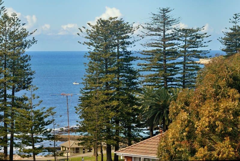 65  Ewos Parade, CRONULLA NSW 2230, Cronulla - Thumbnail 2