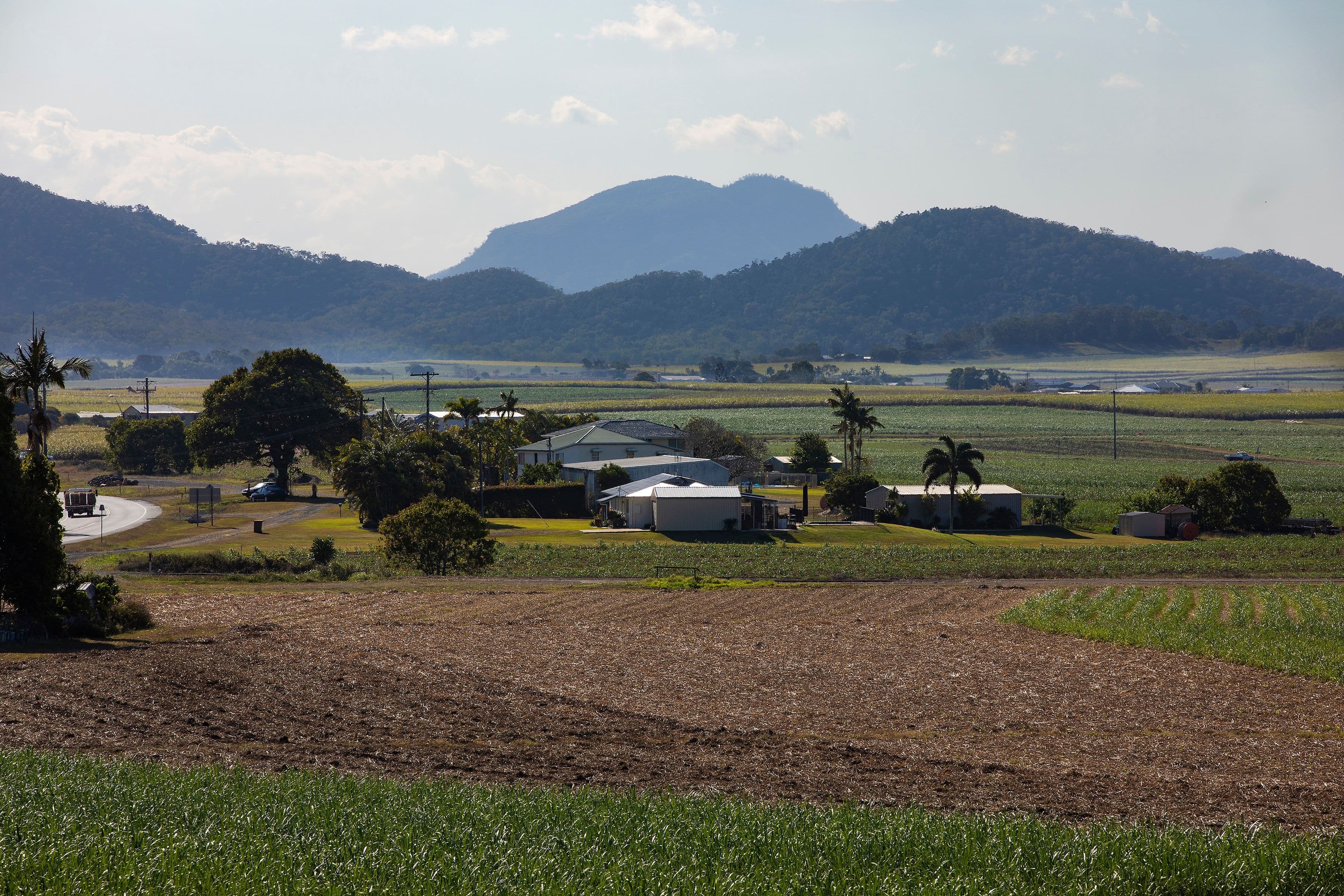 10 Chidlow Street, Farleigh QLD 4741, Farleigh - Thumbnail 2