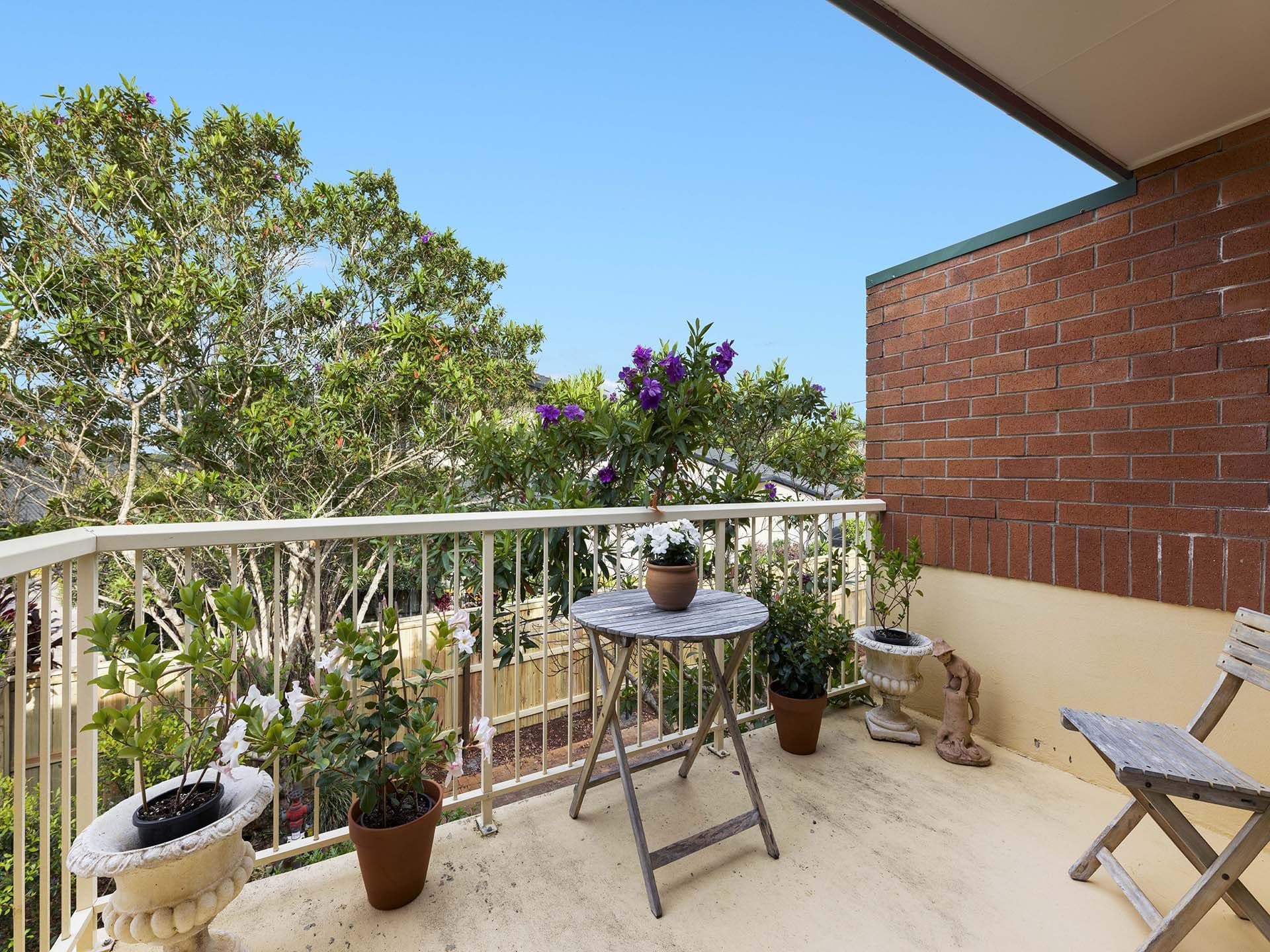 17 King Street, Buderim QLD 4556, Buderim - Thumbnail 2