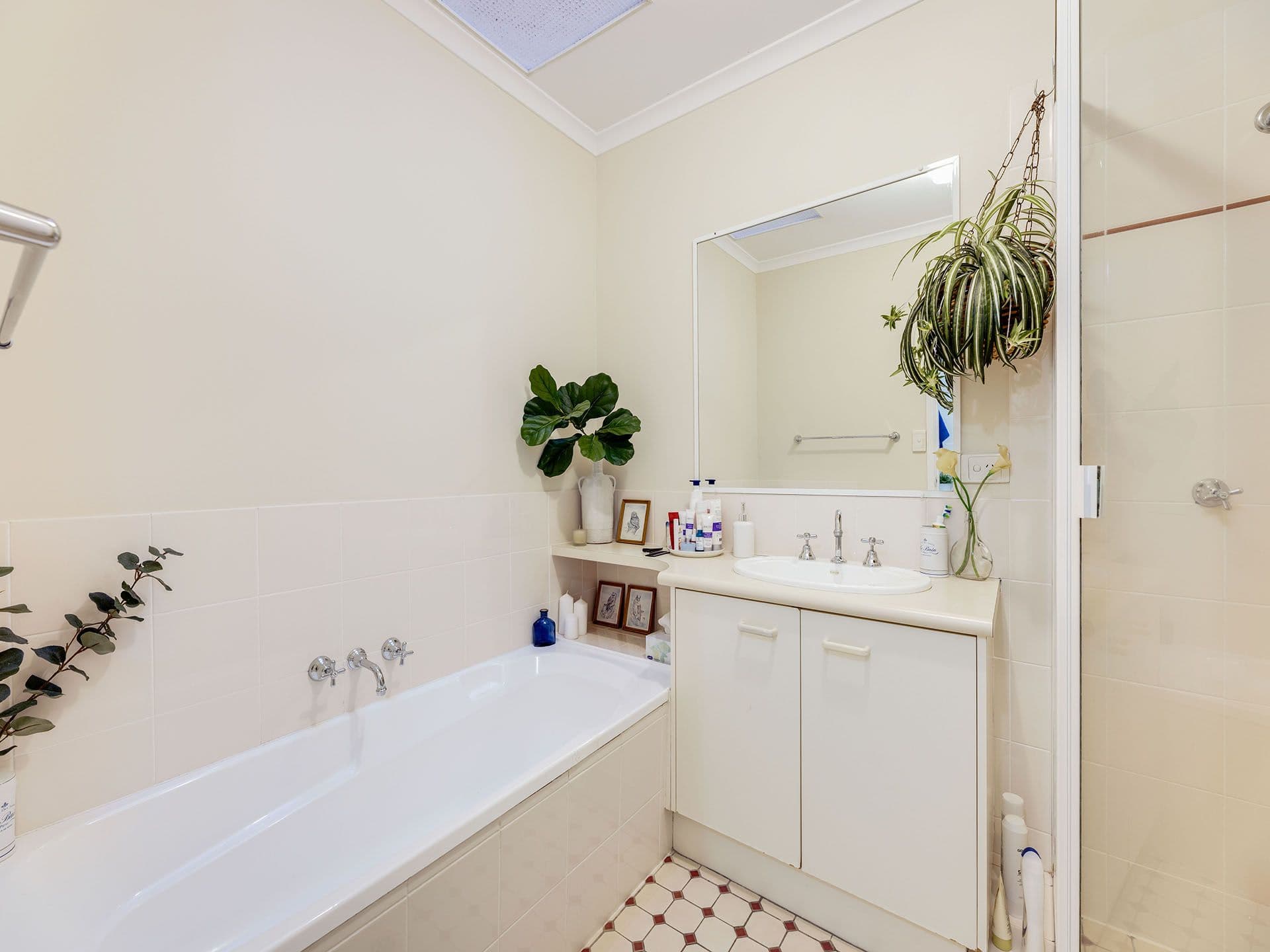17 King Street, Buderim QLD 4556, Buderim - Thumbnail 7