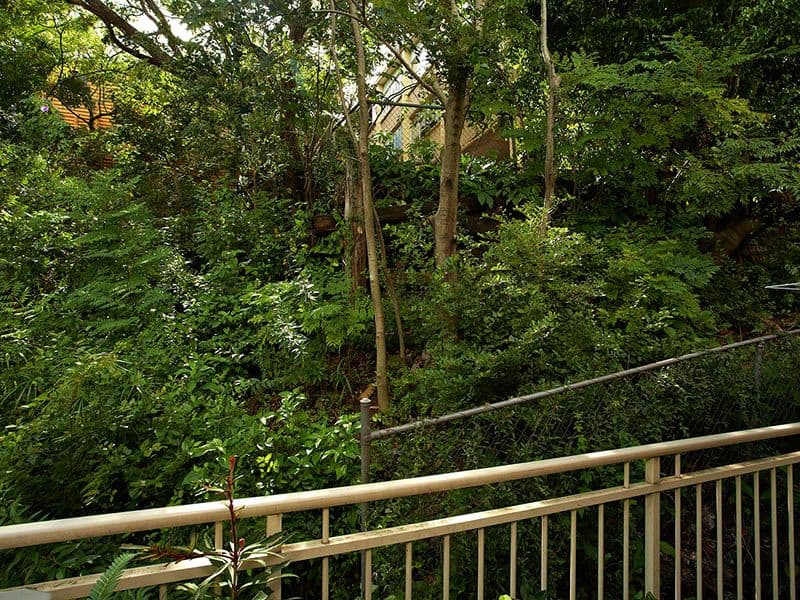 11 Mort Street, PADDINGTON QLD 4064, Paddington - Thumbnail 8