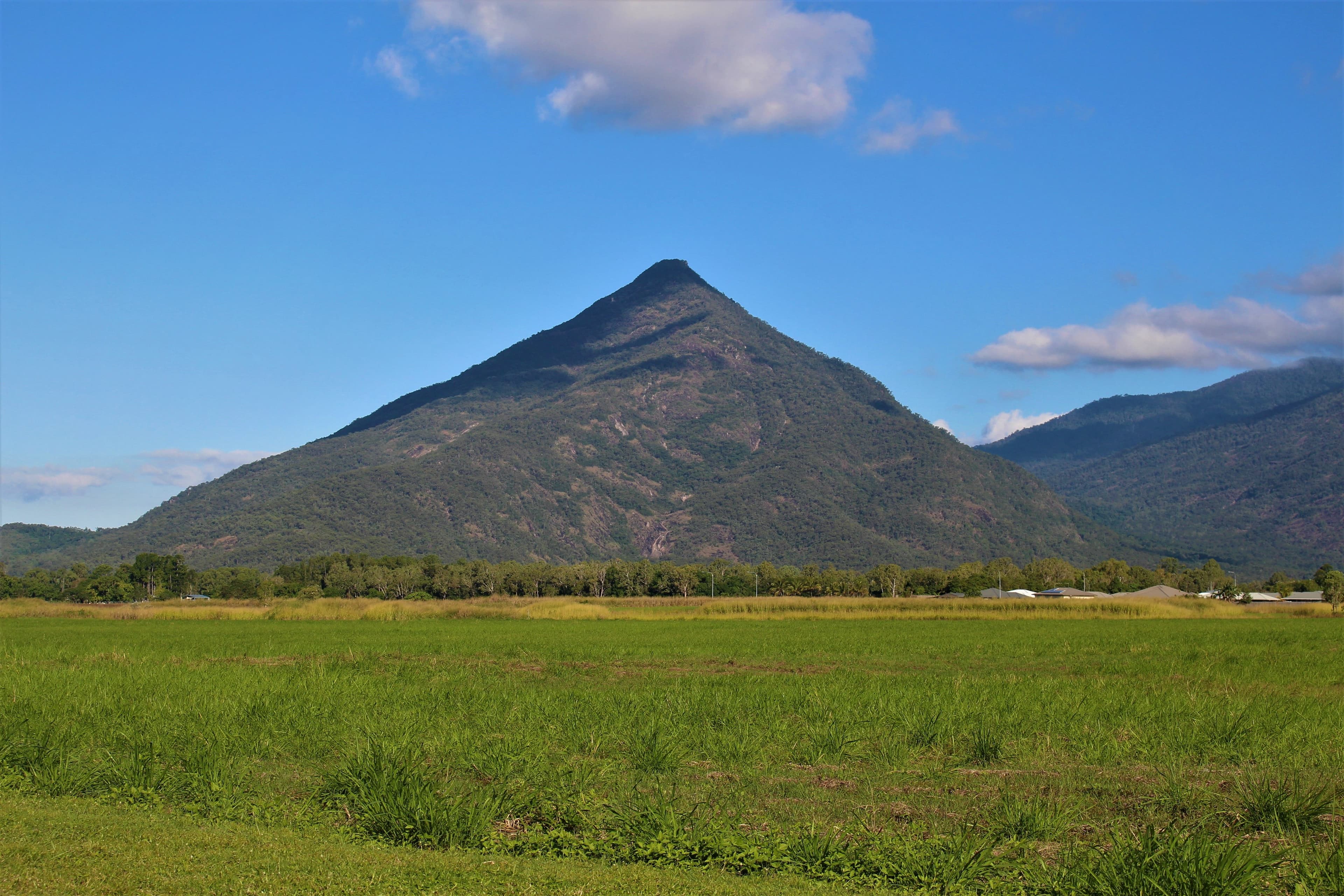 8 Griffin Street, Gordonvale QLD 4865, Gordonvale - Thumbnail 8