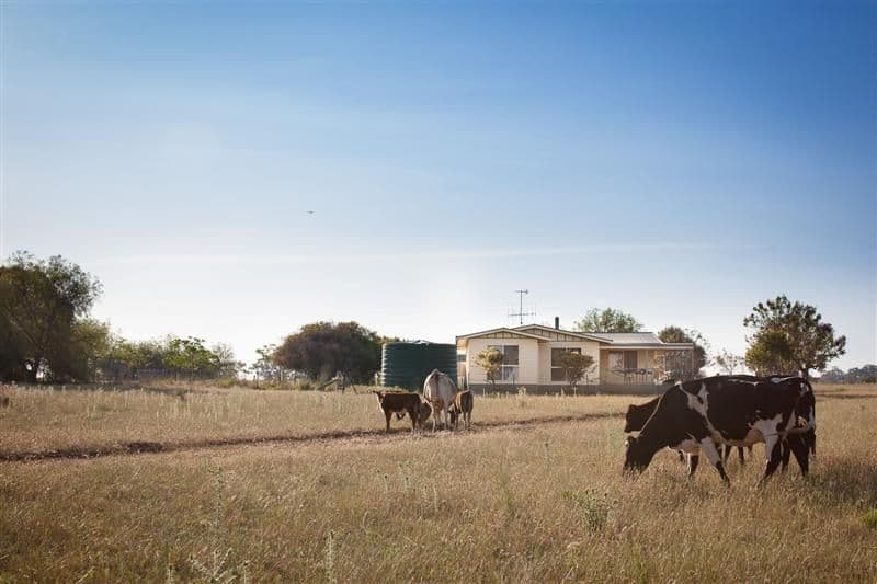 8 Tarwong Lane, GEURIE NSW 2818, Geurie - Image 1