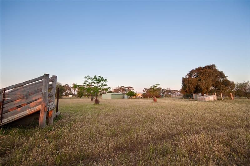 8 Tarwong Lane, GEURIE NSW 2818, Geurie - Thumbnail 4