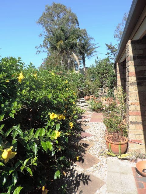 5 Hovea Street, Bellara QLD 4507, Bellara - Thumbnail 8