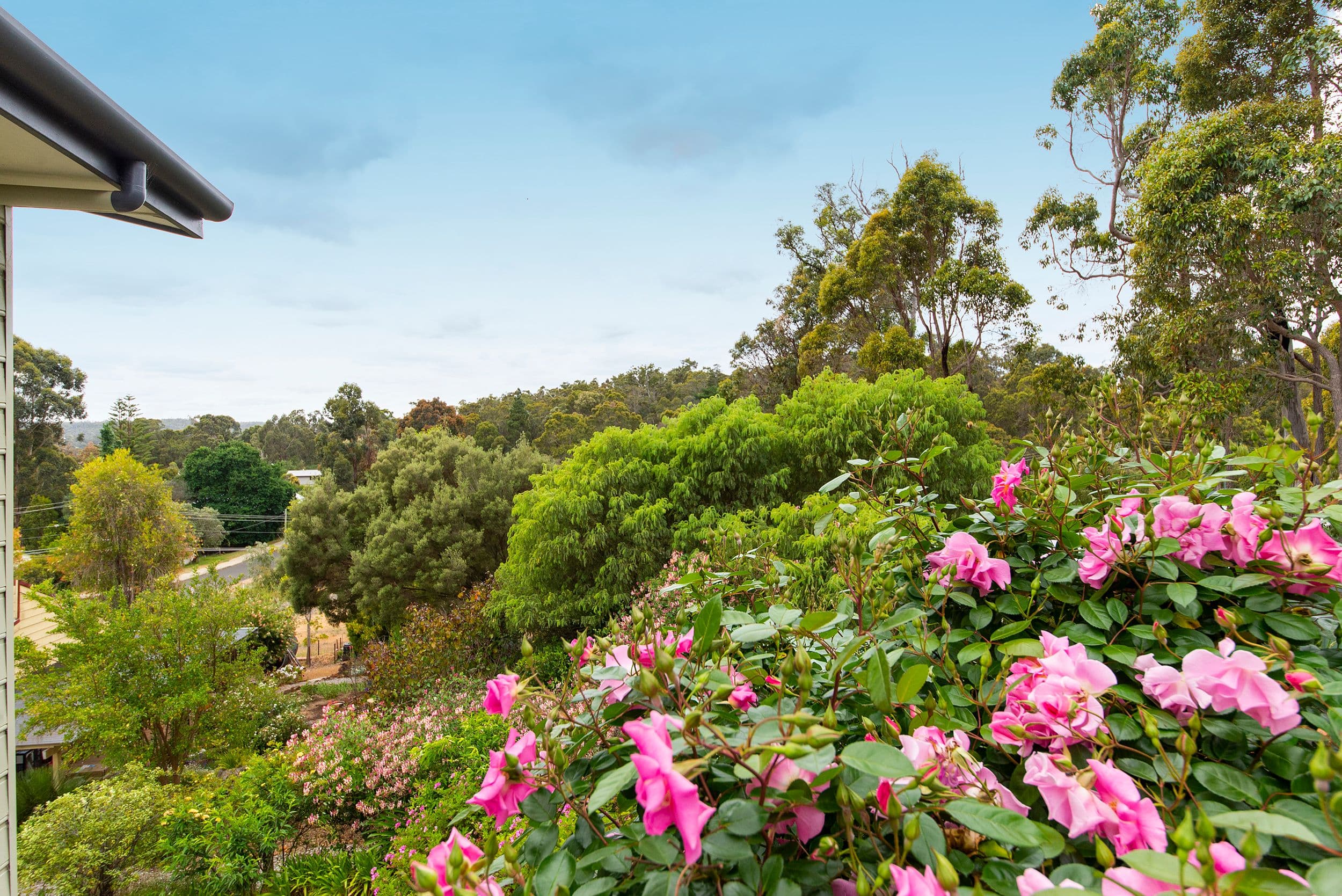 67 Carey Street, Nannup WA 6275, Nannup - Thumbnail 2