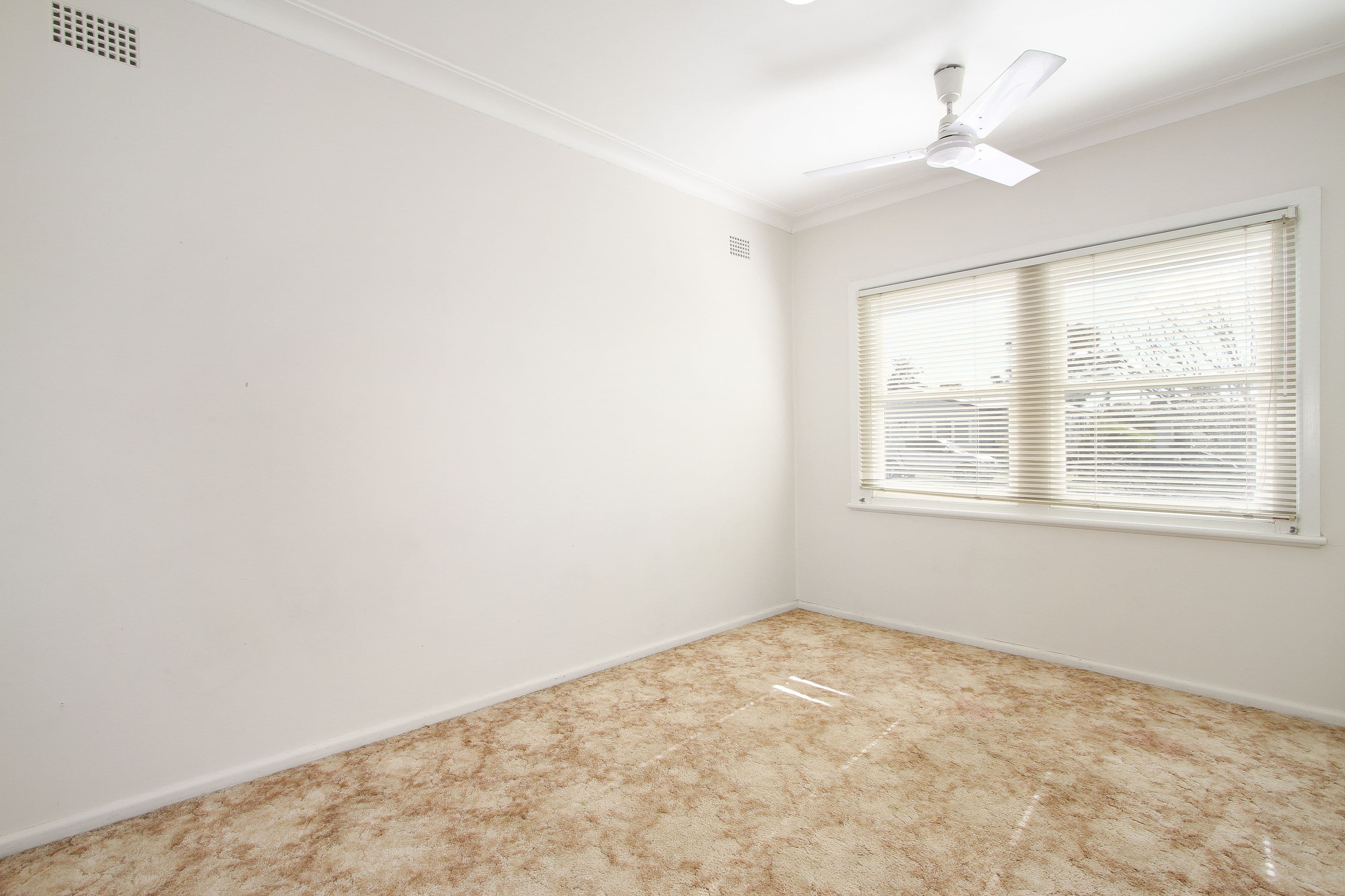 3 Warren Street, Tamworth NSW 2340, Tamworth - Thumbnail 5