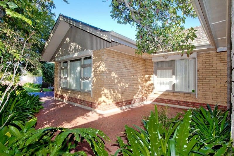 38 Lasscock Avenue, Lockleys SA 5032, Lockleys - Thumbnail 5