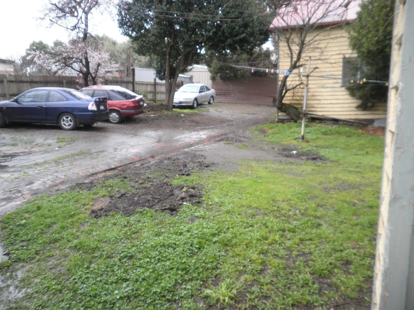 788 Station Street, Box Hill VIC 3128, Box Hill North - Thumbnail 4