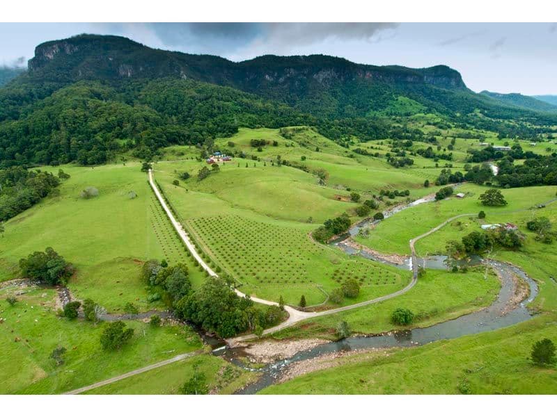 3104 Nerang-Murwillumbah Road, NATURAL BRIDGE QLD 4211, Natural Bridge - Thumbnail 4