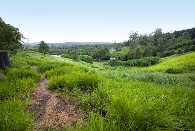 145 Kiel Mountain Road, WOOMBYE QLD 4559, Woombye - Thumbnail 3