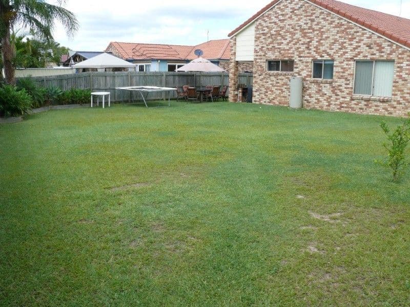 34 Fawn Street, UPPER COOMERA QLD 4209, Upper Coomera - Thumbnail 3