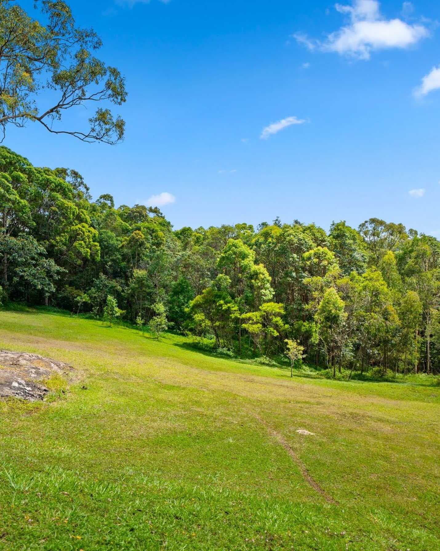 9 Donovan Place Maroochy River, River - Thumbnail 7