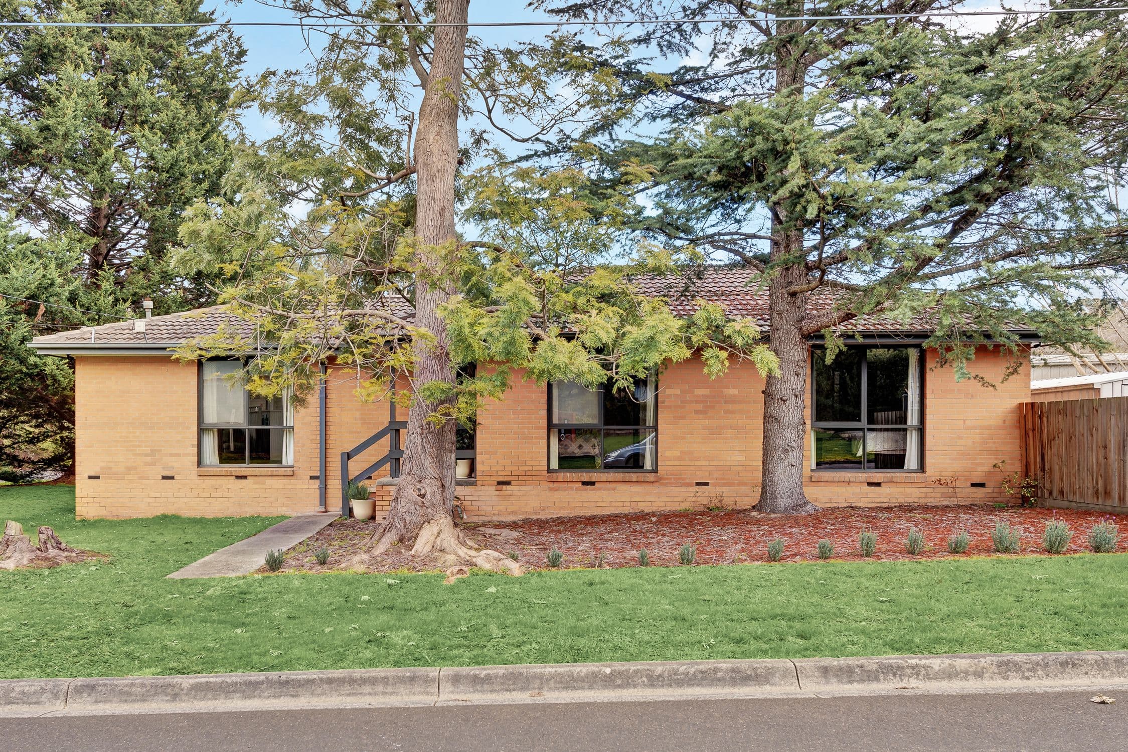 65 Swansea Road, Montrose VIC 3765, Montrose - Thumbnail 2
