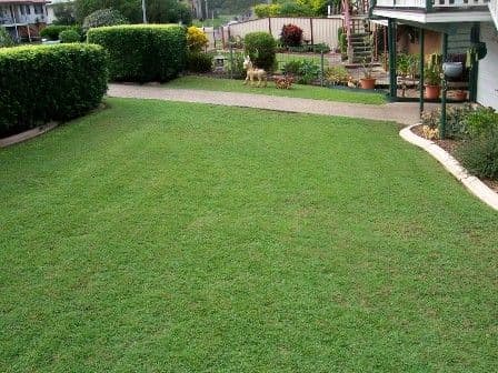 32 WAKLEY, ACACIA RIDGE QLD 4110, Acacia Ridge - Thumbnail 3