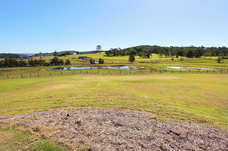 27 Thornton Road, Bli Bli QLD 4560, Bli Bli - Thumbnail 6