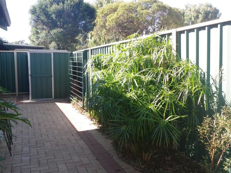 8B Bert Street, GOSNELLS WA 6110, Gosnells - Thumbnail 6