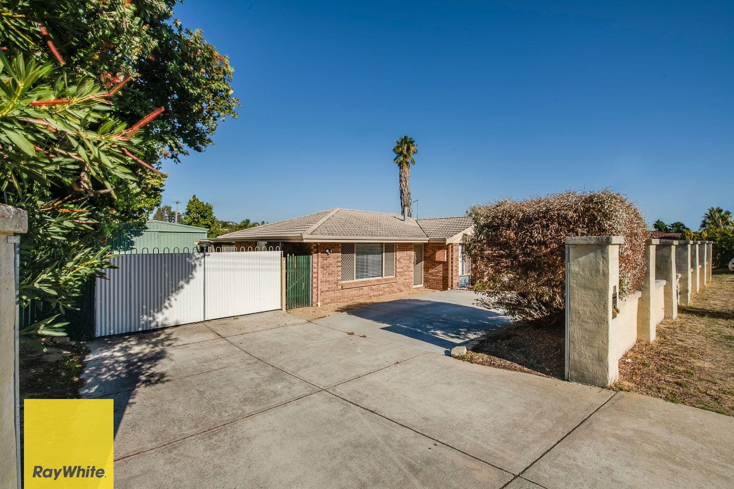 20 Dampier Loop, Mirrabooka WA 6061, Mirrabooka - Thumbnail 2