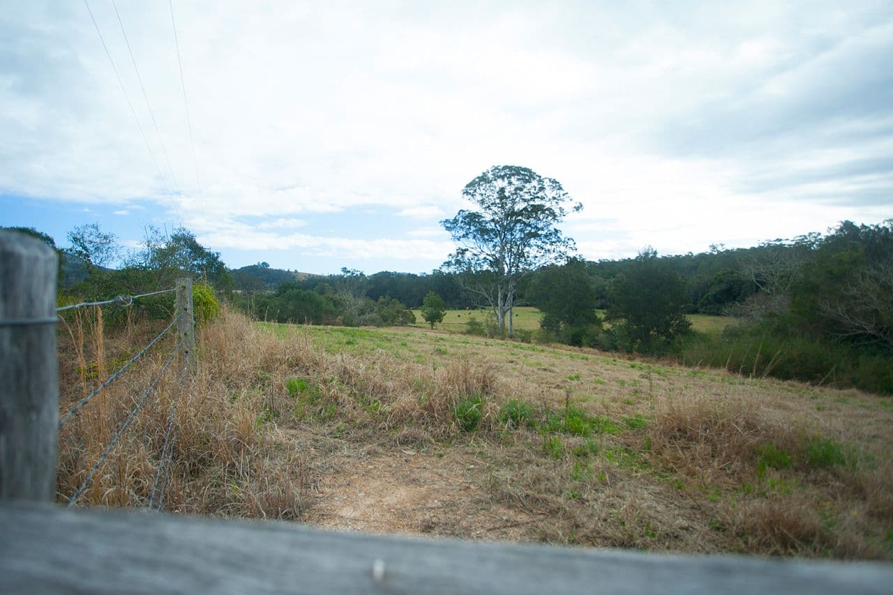 658 Wherrol Flat Road, Wherrol Flat NSW 2429, Wherrol Flat - Thumbnail 2