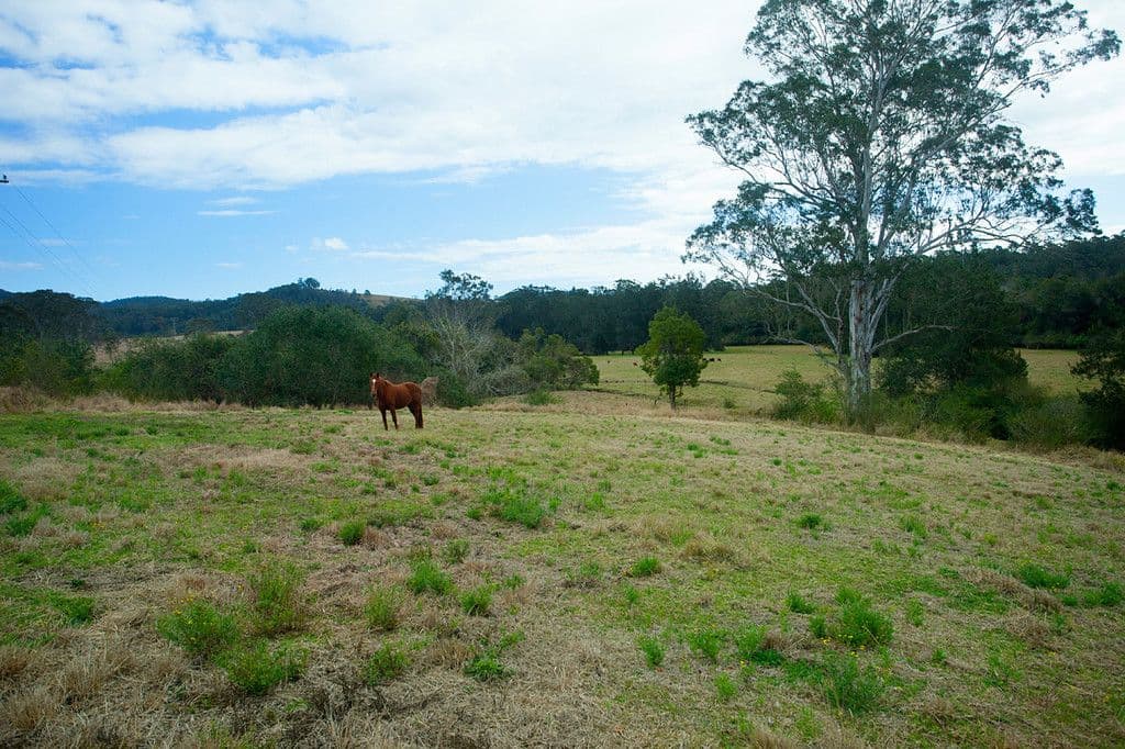 658 Wherrol Flat Road, Wherrol Flat NSW 2429, Wherrol Flat - Thumbnail 4