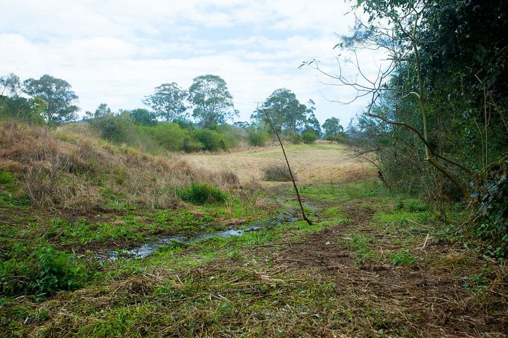 658 Wherrol Flat Road, Wherrol Flat NSW 2429, Wherrol Flat - Thumbnail 8
