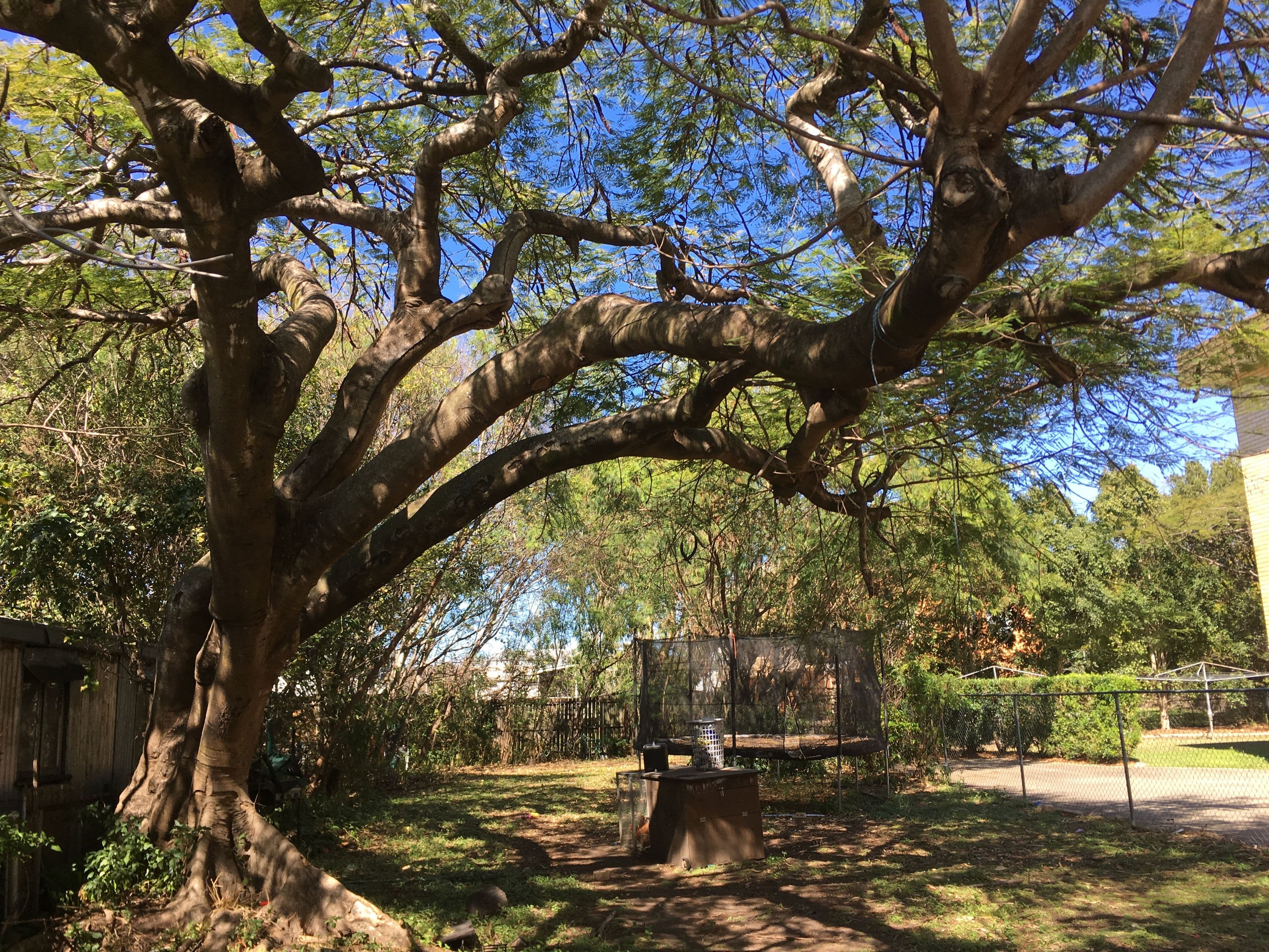 47 Noble Street, Clayfield QLD 4011, Clayfield - Thumbnail 2