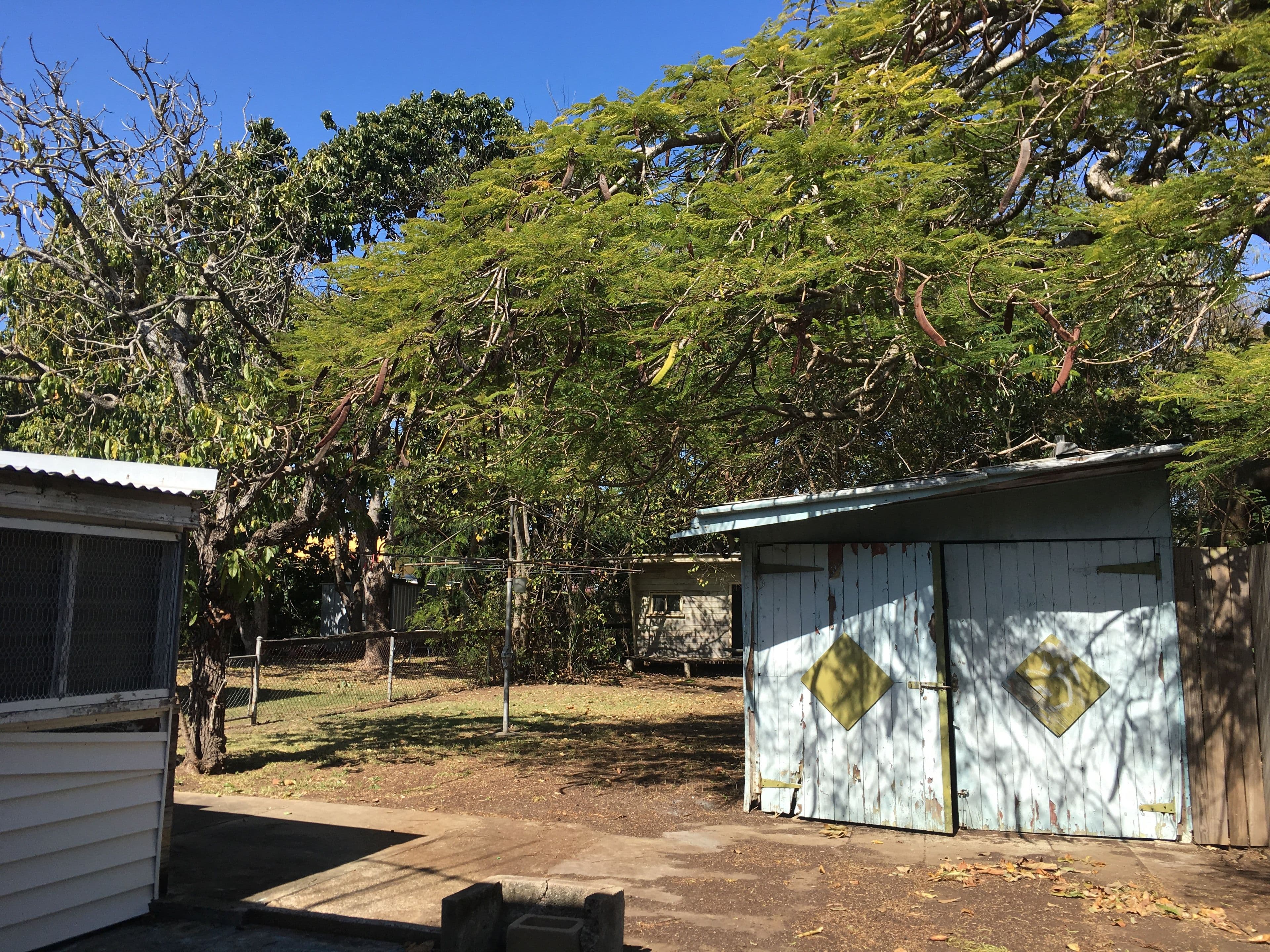 47 Noble Street, Clayfield QLD 4011, Clayfield - Thumbnail 3