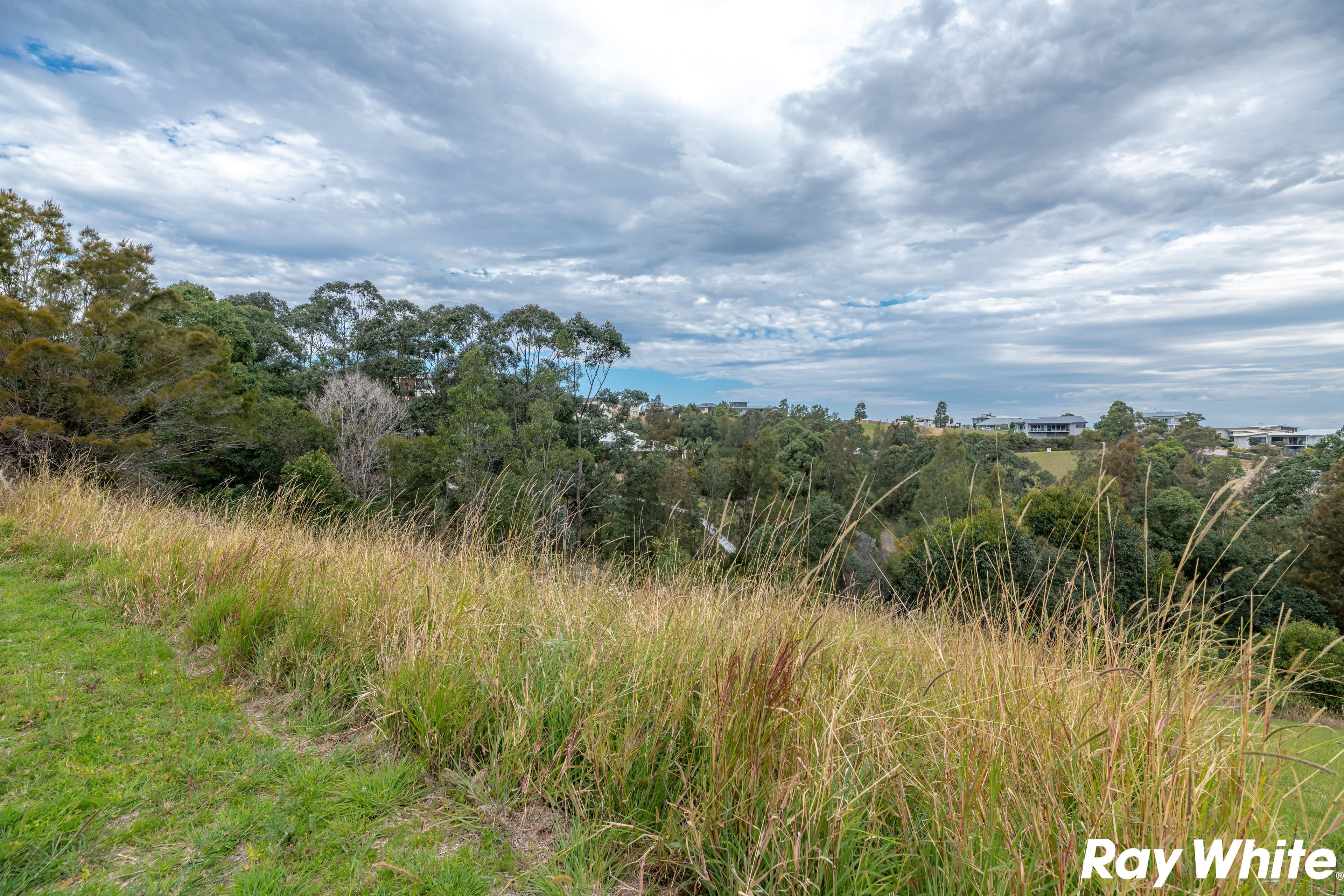 15 Lorikeet Way, Tallwoods Village NSW 2430, Tallwoods Village - Thumbnail 6