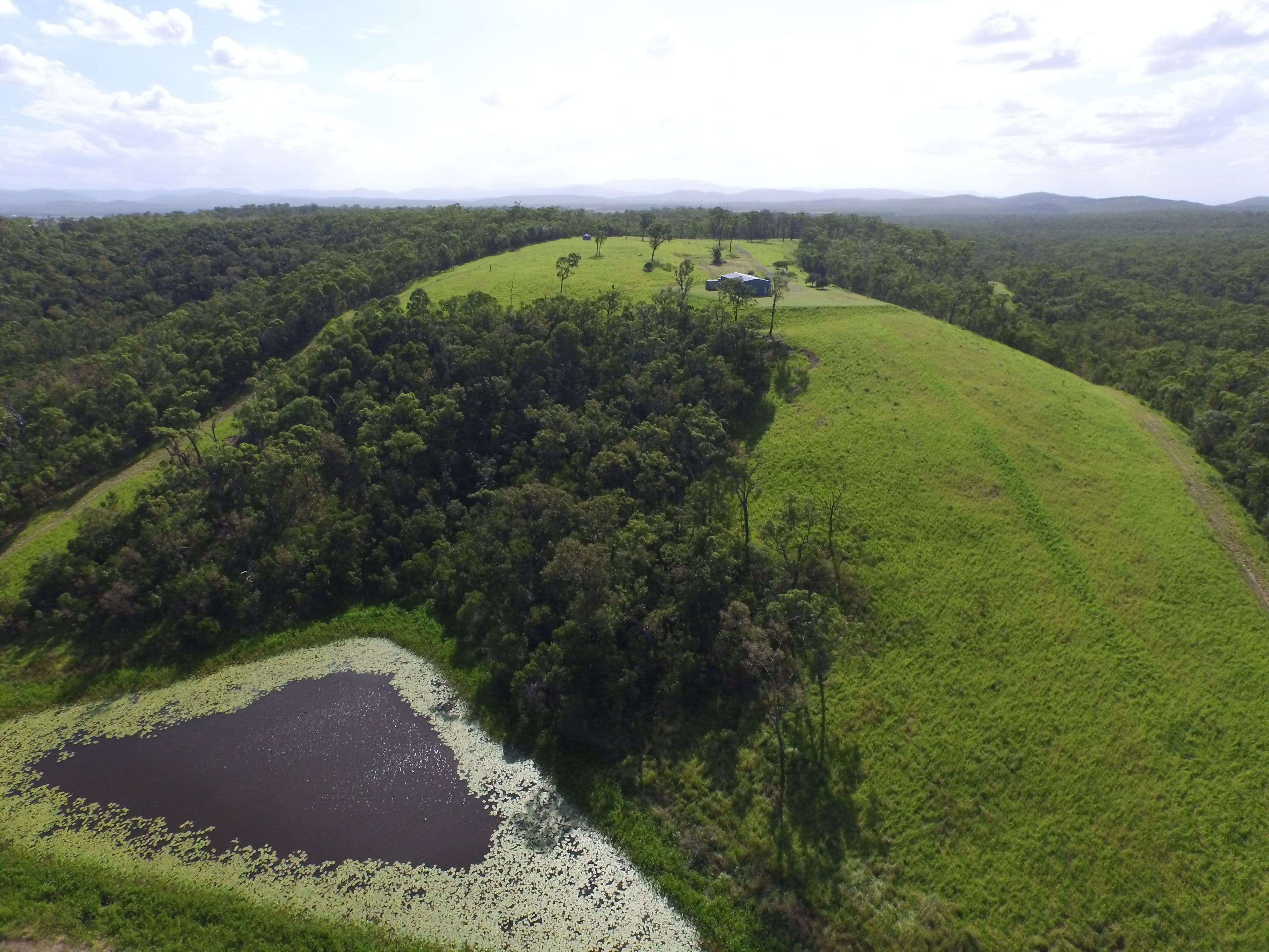 187 Howland Road, Ilbilbie QLD 4738, Ilbilbie - Thumbnail 4