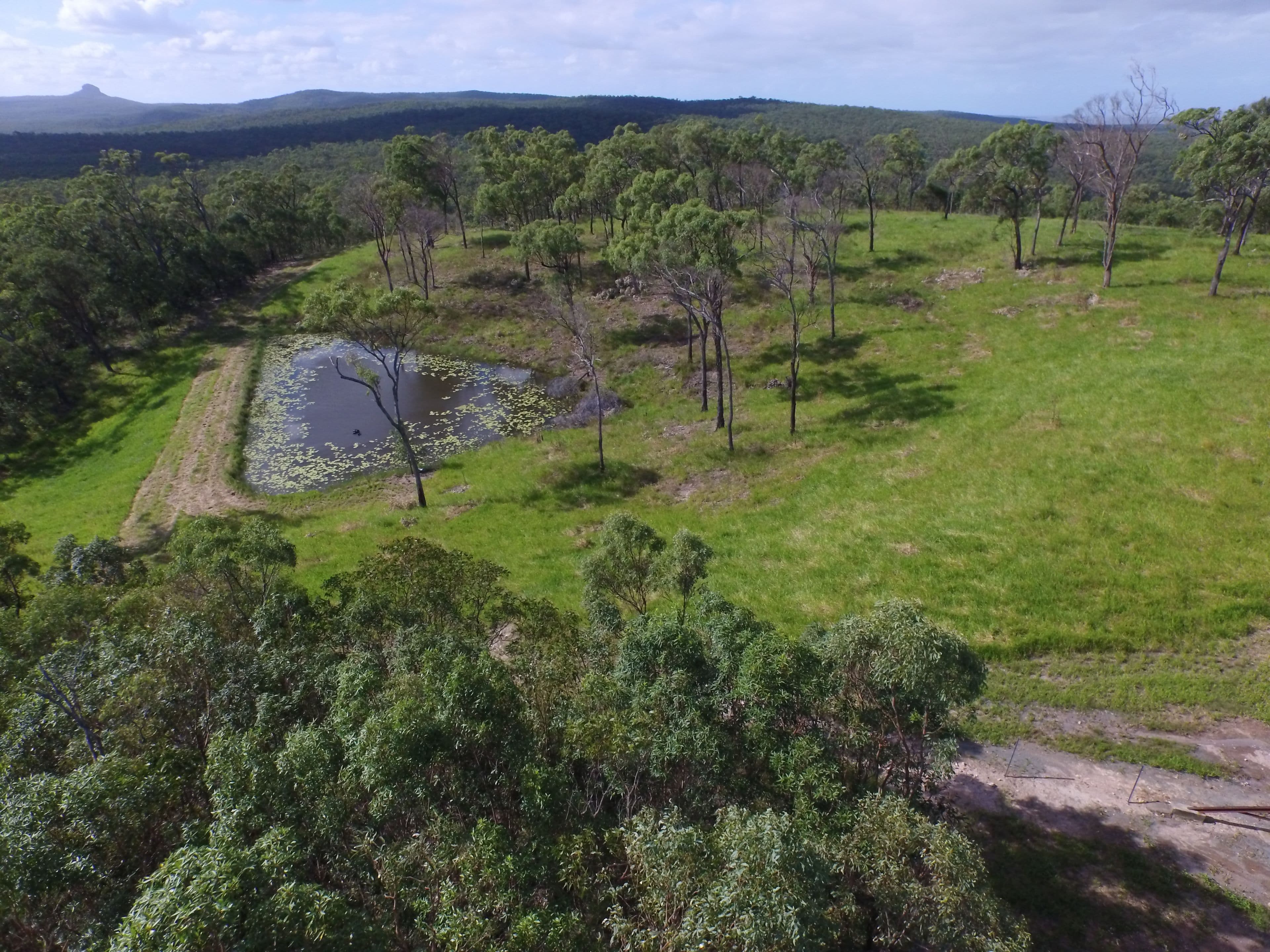 187 Howland Road, Ilbilbie QLD 4738, Ilbilbie - Thumbnail 5