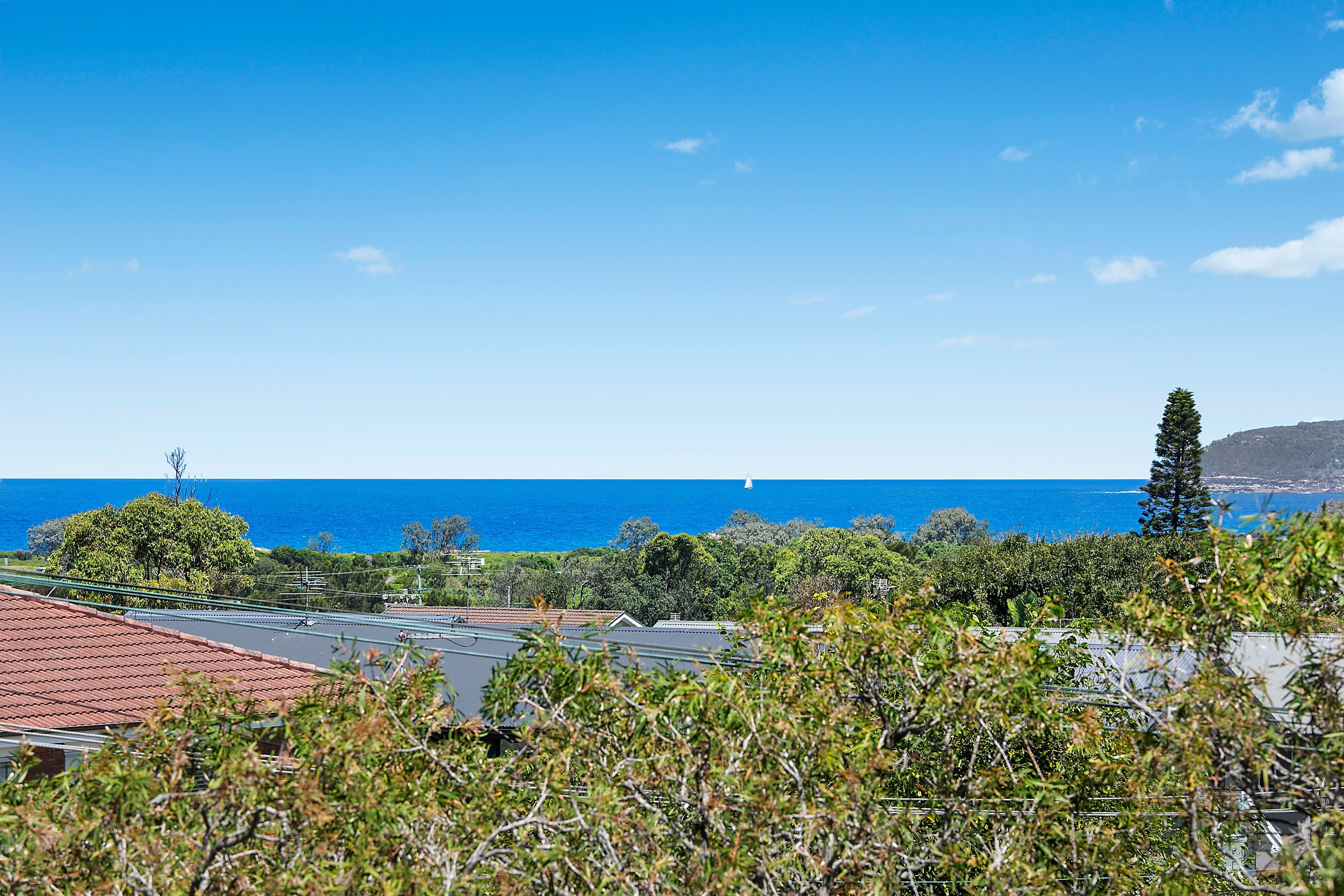 98 Pitt Road, North Curl Curl - Thumbnail 4