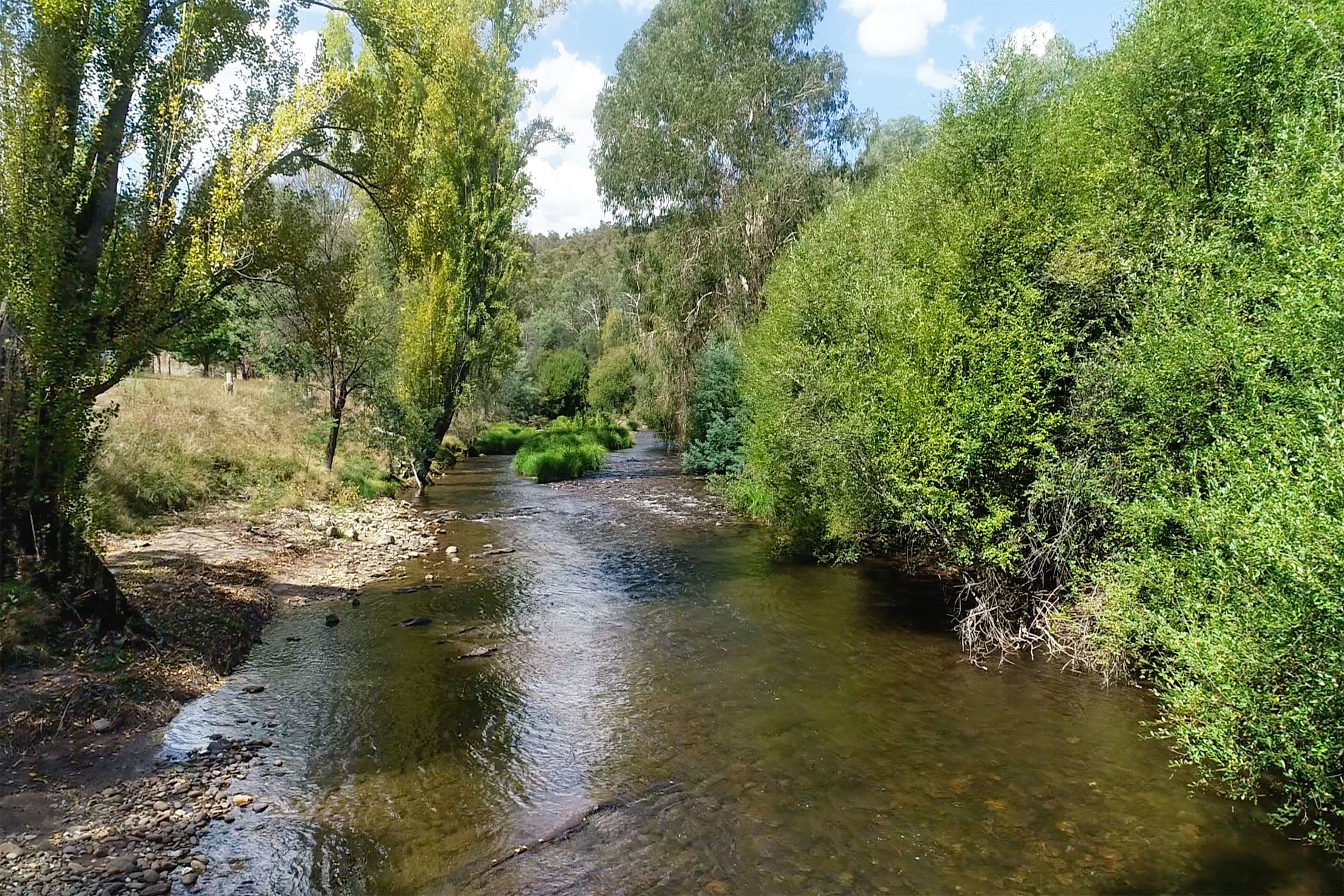 112 Jamieson Valley Lane, Jamieson VIC 3723, Jamieson - Thumbnail 3