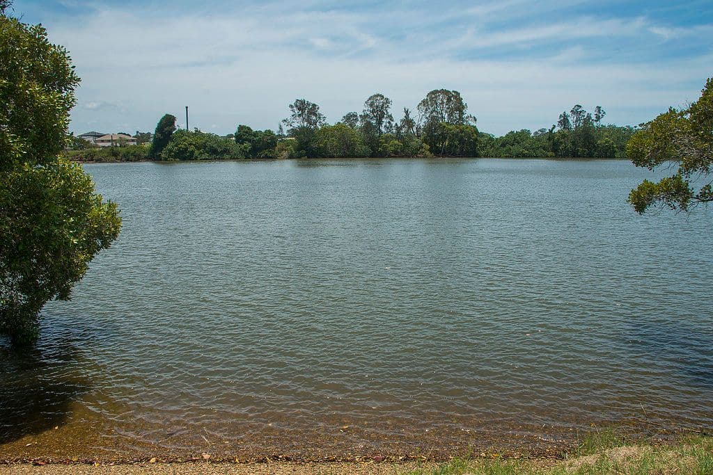 25 North Bank Court, Helensvale QLD 4212, Helensvale - Thumbnail 3