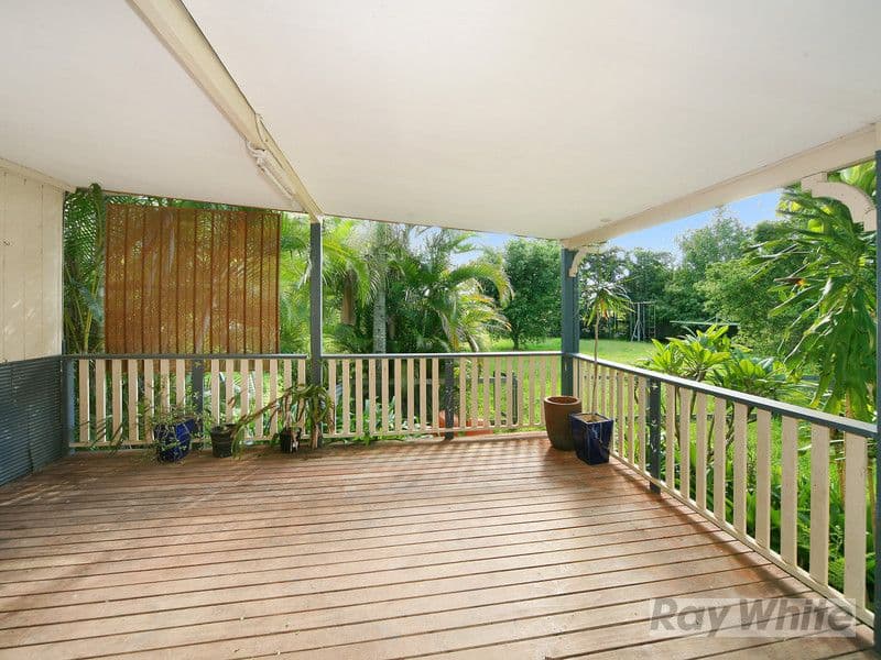 5 Banyandah Street North, Yandina QLD 4561, Yandina - Thumbnail 4