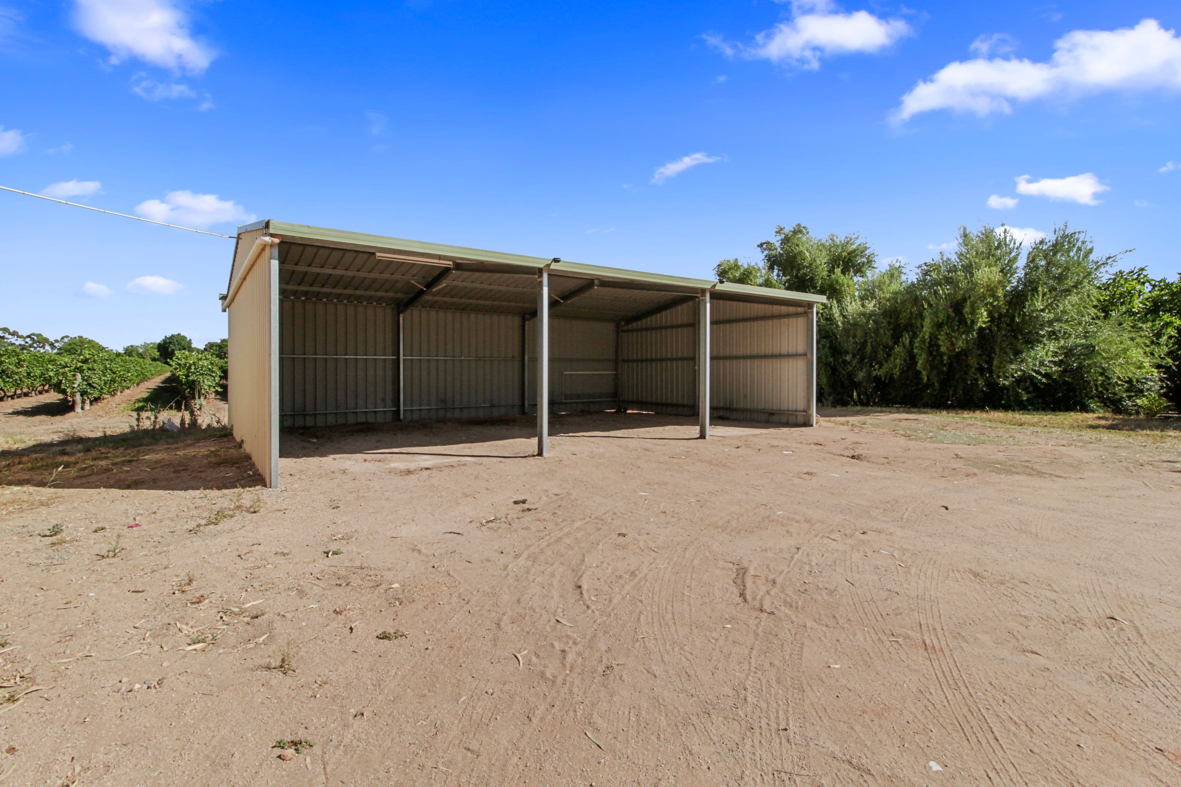 20097 Renmark Avenue, Renmark SA 5341, Renmark South - Thumbnail 5