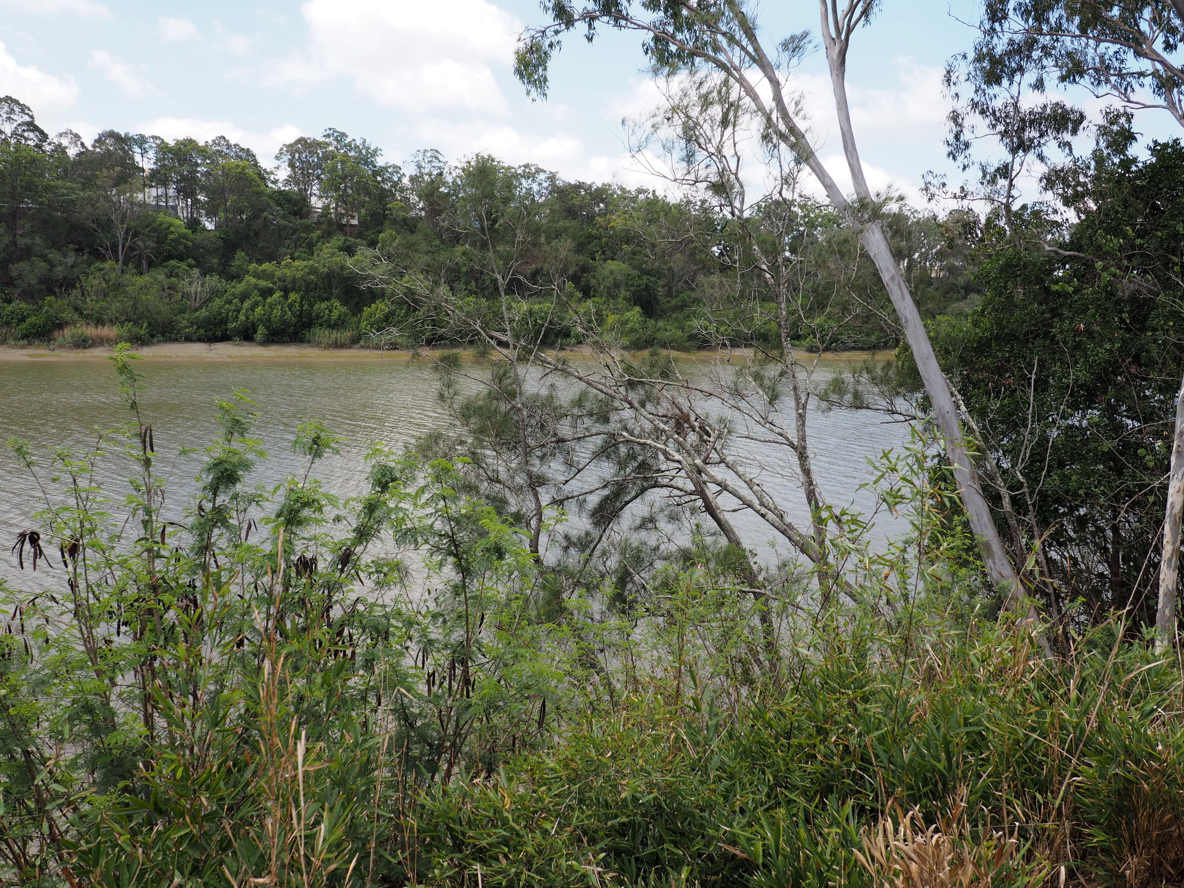 77D Kent Street, Maryborough QLD 4650, Maryborough - Thumbnail 7