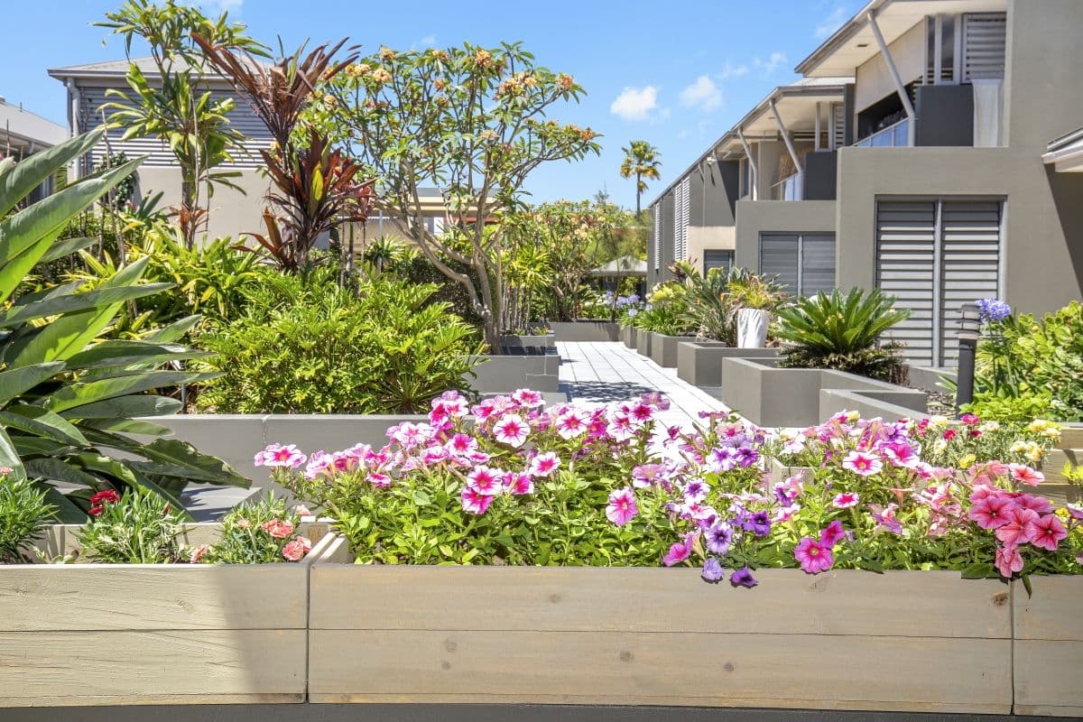 45 Bundall Road, Surfers Paradise QLD 4217, Surfers Paradise - Thumbnail 3