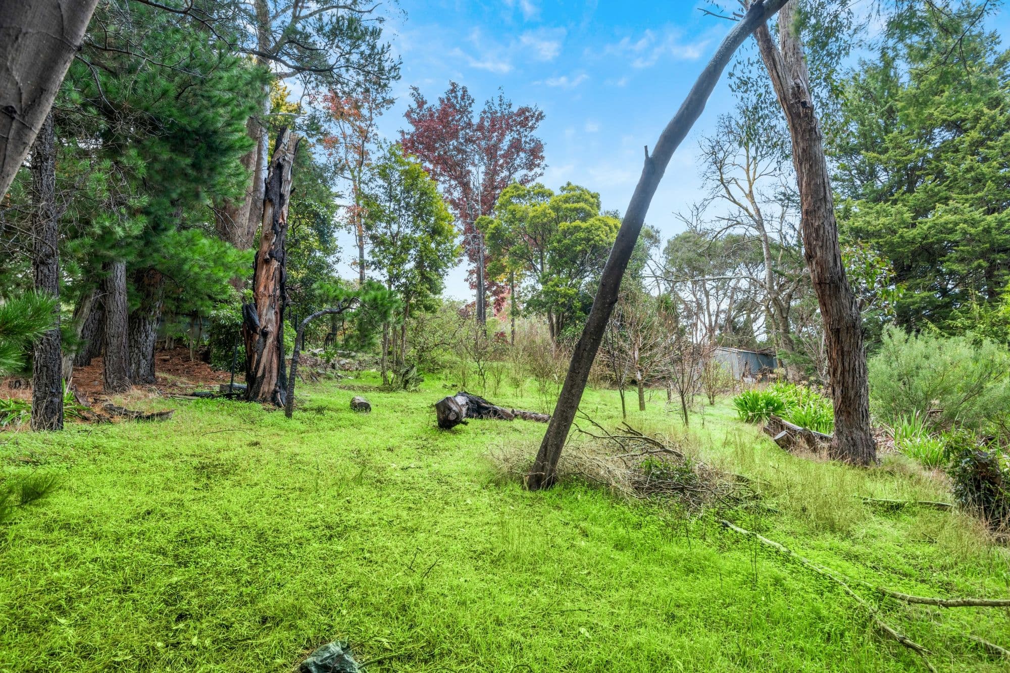 101 Onkaparinga Road, Bridgewater SA 5155, Bridgewater - Thumbnail 4